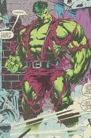 Incredible Hulk (Professor/Smart) (Marvel Legends) Custom Action Figure