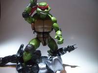 TMNT Raph (Teenage Mutant Ninja Turtles) Custom Action Figure