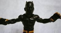 Black Panther (Marvel Universe) Custom Action Figure