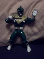 Evil Green Ranger (Power Rangers) Custom Action Figure