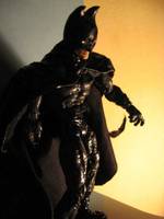 Dark Knight Batman (Batman) Custom Action Figure