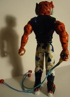 Tygra Concept (Challenge Custom) (Thundercats) Custom Action Figure