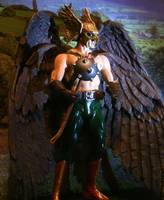 Hawkman (DC Universe) Custom Action Figure