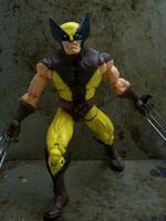 Wolverine (Marvel Legends) Custom Action Figure