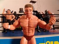 Daniel Bryan Danielson (Wrestling) Custom Action Figure