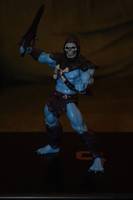 Skeletor (Masters of the Universe) Custom Action Figure