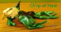 Ch'rp of Nest (Green Lantern) Custom Action Figure