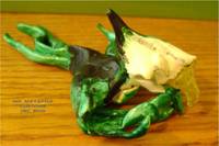 Ch'rp of Nest (Green Lantern) Custom Action Figure