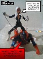 Blackcat (Marvel Legends) Custom Action Figure