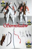 Storm Shadow (Marvel Legends) Custom Action Figure