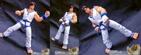 SNK Kim Kaphwan (King of Fighters) Custom Action Figure