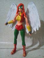 Hawkgirl ? (DC Universe) Custom Action Figure