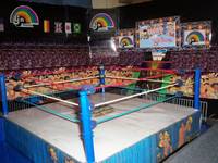 LJN Arena ( My Custom Arena !) (Wrestling) Custom Action Figure