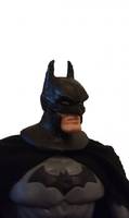 Batman - Batman under the Red Hood (DC Universe) Custom Action Figure