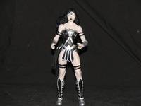 BL Wonderwoman (DC Universe) Custom Action Figure