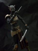 Bludraina the Panther Assassian (Realm of the Claw) Custom Action Figure