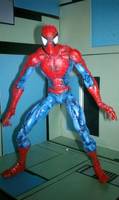Spider-Man (Spider-Man) Custom Action Figure