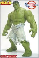 DC Universe...  HULK?! (DC Universe) Custom Action Figure