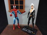 Black Cat & Spidey Web of Shadows Style (Marvel Universe) Custom Action Figure