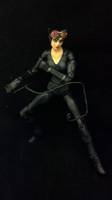 Arkham City Catwoman (Batman) Custom Action Figure