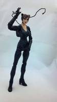 Arkham City Catwoman (Batman) Custom Action Figure