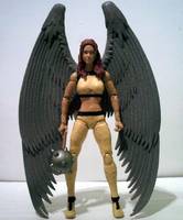 Shayera Hol 'Hawkgirl' (DC Universe) Custom Action Figure