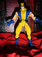 Astonishing Wolverine (Marvel Legends) Custom Action Figure