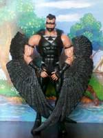 Black Condor (Modern Freedom Fighters) (DC Universe) Custom Action Figure