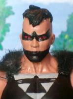 Black Condor (Modern Freedom Fighters) (DC Universe) Custom Action Figure