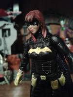 Bat Girl (DC Infinite Heroes) Custom Action Figure