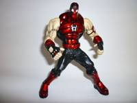 Red Lantern Bane (DC Universe) Custom Action Figure