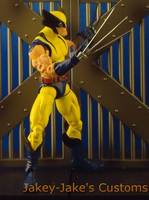 Wolverine (Marvel Legends) Custom Action Figure