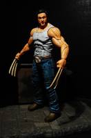 Logan X-Men Origins:Wolverine (Marvel Select) Custom Action Figure