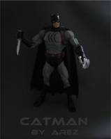 Catman V. 2 (DC Universe) Custom Action Figure