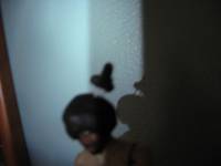 Mace Winjewel Wallace (Star Wars) Custom Action Figure