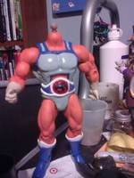 Thundercats Lion-O (Masters of the Universe) Custom Action Figure
