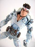 Jin Saotome (Marvel vs Capcom) Custom Action Figure