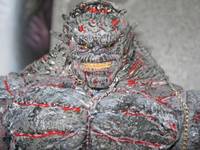 Beserker (Gears Of War) Custom Action Figure