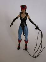 Silver Age Catwoman 1969 Look (Batman) Custom Action Figure