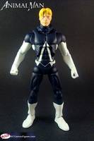 Animal Man (DC New 52) (Marvel Legends) Custom Action Figure