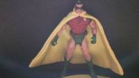 Robin the Boy Wonder(Movie Style) (Batman & Robin) Custom Action Figure