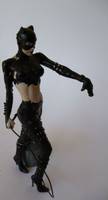 Battle Damaged Catwoman (Batman) Custom Action Figure