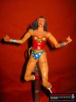 Wonder Woman (DC Universe) Custom Action Figure