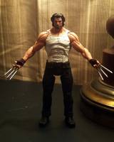 Logan (Wolverine) (X-Men) Custom Action Figure