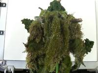 Man Thing (Marvel Knights) Custom Action Figure