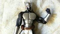 Shadowhawk (Spawn) Custom Action Figure