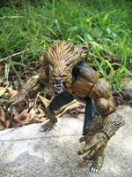 Wolfman (Horror) Custom Action Figure