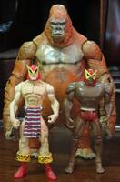 DC Jungle Heroes: Congorilla & B'wanna Beast (DC Superheroes) Custom Action Figure