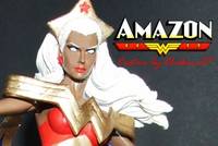 AMAZON Wonder Woman & Storm Combination (Wonder Woman) Custom Action Figure