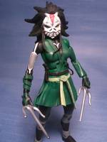 Young Justice Cheshire (Young Justice) Custom Action Figure